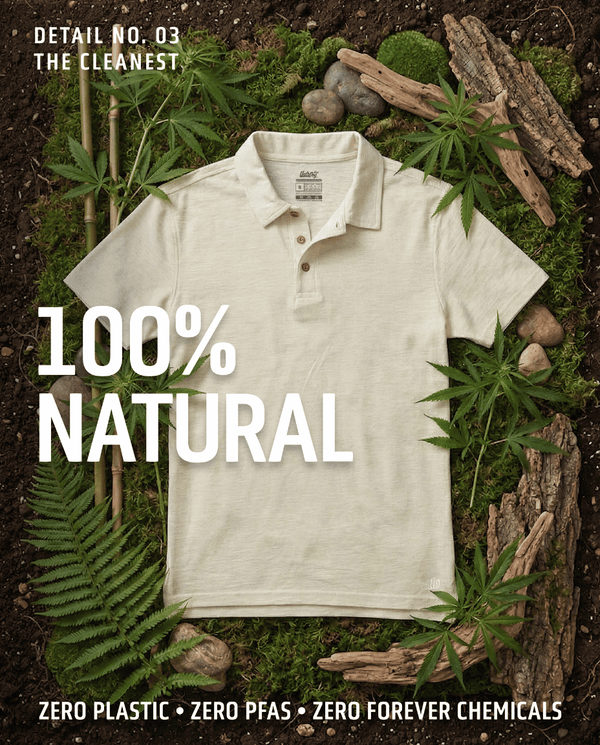 Project 008: The Polo