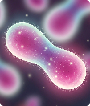 Bacteria icon