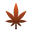 Check icon