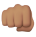 Hand Icon