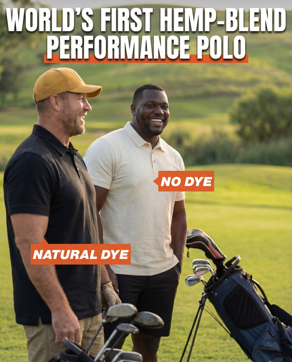 Project 008: The Polo