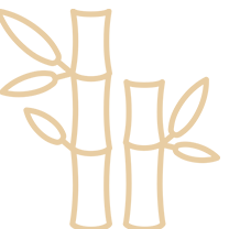 bamboo
